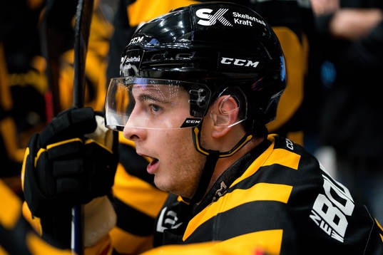 Skellefteås Stefan Loibl