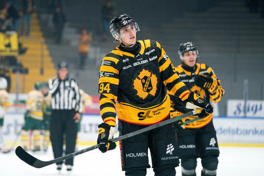 Skellefteås Linus Karlsson