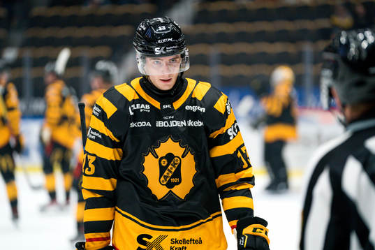 Skellefteås Stefan Loibl