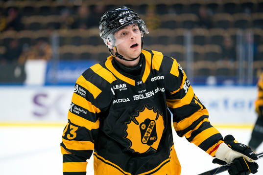 Skellefteås Stefan Loibl