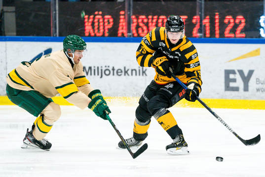 Skellefteås Stefan Loibl
