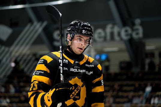 Skellefteås Stefan Loibl