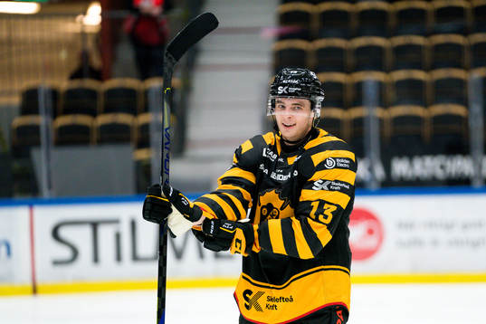 Skellefteås Stefan Loibl