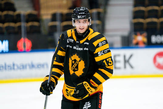 Skellefteås Stefan Loibl