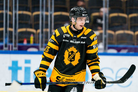 Skellefteås Stefan Loibl