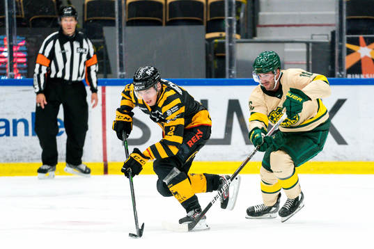 Skellefteås Adam Wilsby och Björklövens Félix Girard