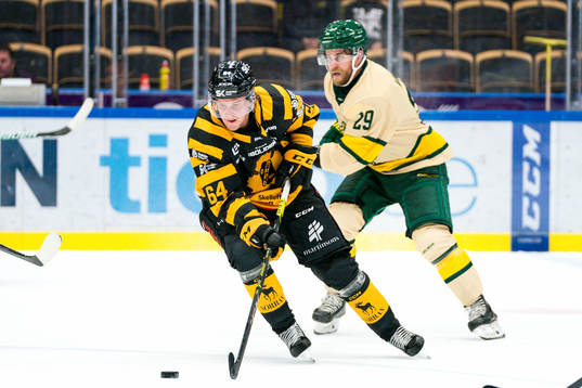 Skellefteås Jonathan Pudas och Björklövens Alexander
