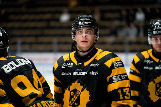 Skellefteås Stefan Loibl