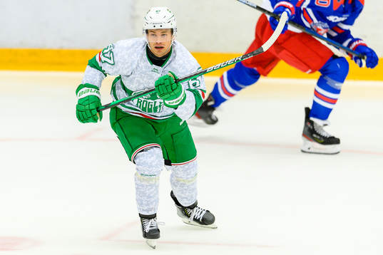 Rögles Leon Bristedt