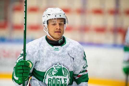 Rögles Leon Bristedt