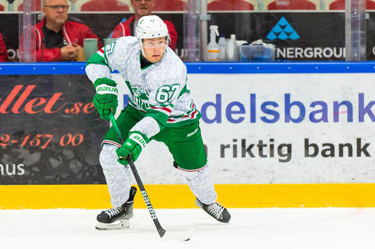 Rögles Leon Bristedt