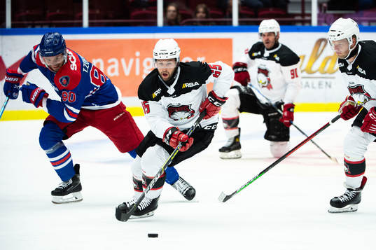 Malmö Redhawks Alexander Molldén
