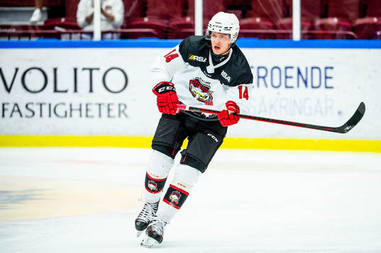 Malmö Redhawks Carl-Johan Lerby