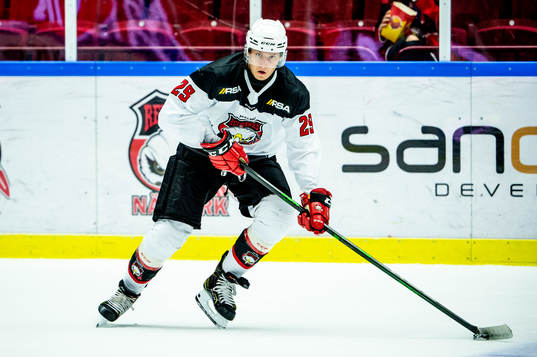 Malmö Redhawks Eric Engstrand
