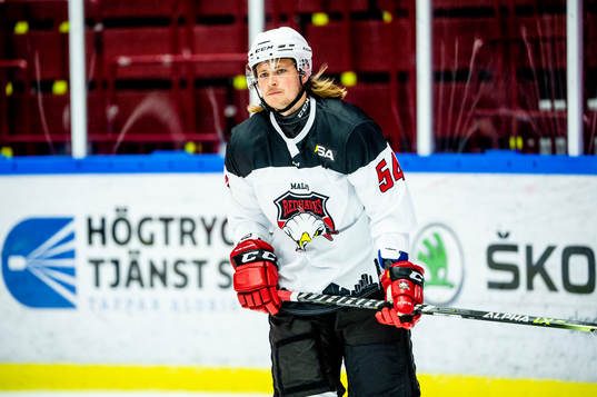 Malmö Redhawks Dennis Svensson värmer upp innan