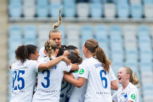 Spelare ur Norrköping jublar