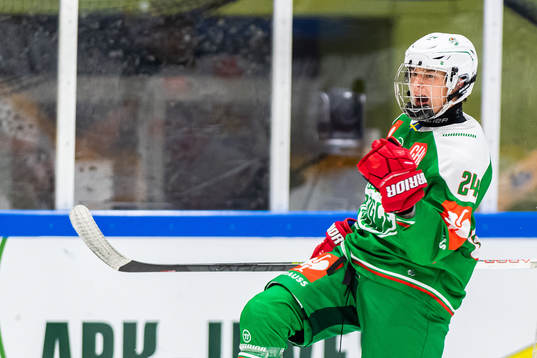 Bläddra bland fler bilder av Ice Hockey, CHL, Rögle - Munich