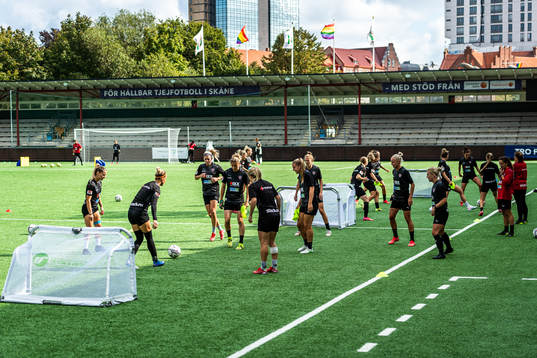 Players of Rosengård