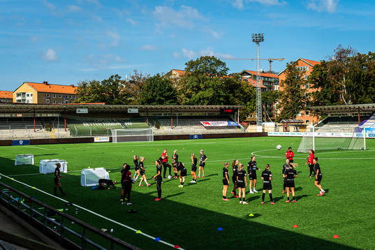 Players of Rosengård