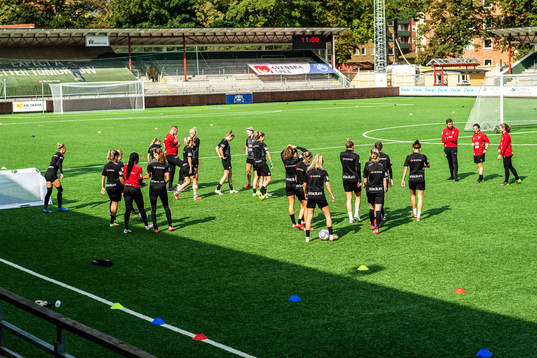 Players of Rosengård
