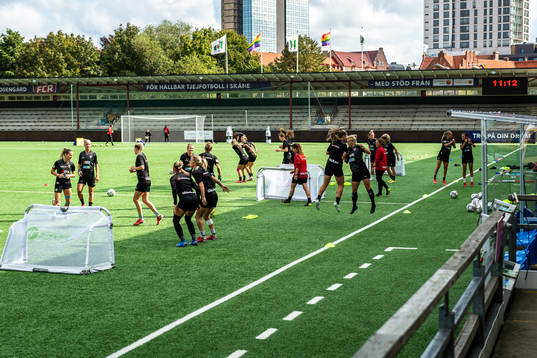 Players of Rosengård