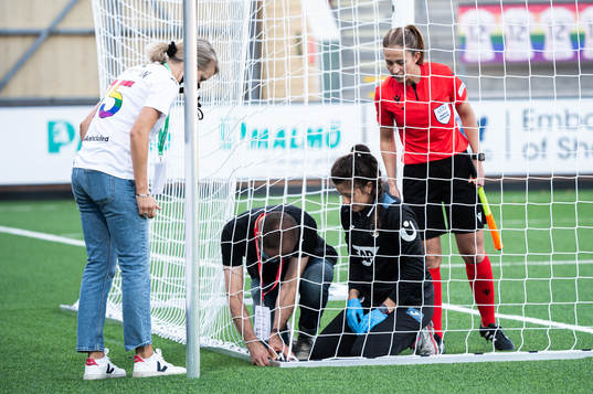The goal of Hoffenheim is repaired