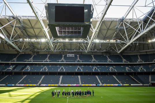 The players of the Swedish national team