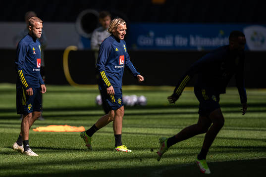 Daniel Sundgren and Emil Forsberg of the Swedish national