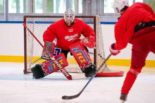 Ishockeyspelaren Robin Lehner, Vegas Golden Knights