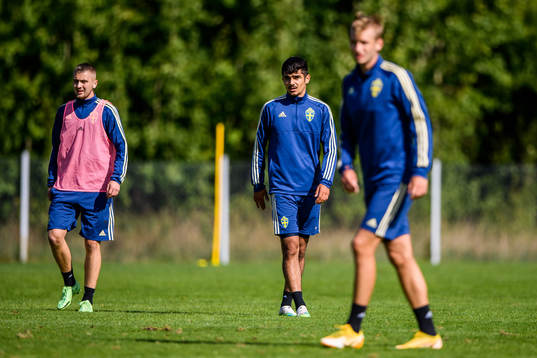Albin Mörfelt och Aimar Sher