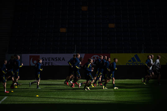 Players of the Swedish national team