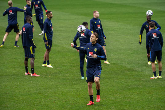 Albin Ekdal of the Swedish national team