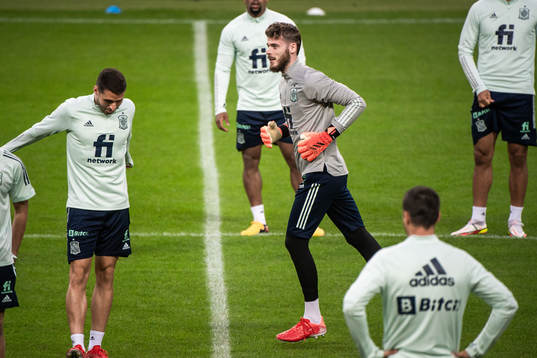 Goalkeeper David de Gea of the Spanish national football