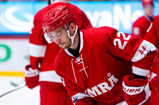 Timrås Ty Rattie