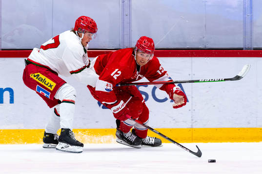 Modos Riley Woods och Timrås Viktor Liljegren