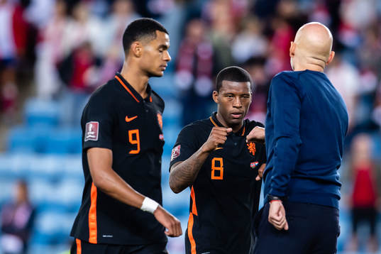 Georginio Wijnaldum of Netherlands and Ståle Solbakken,