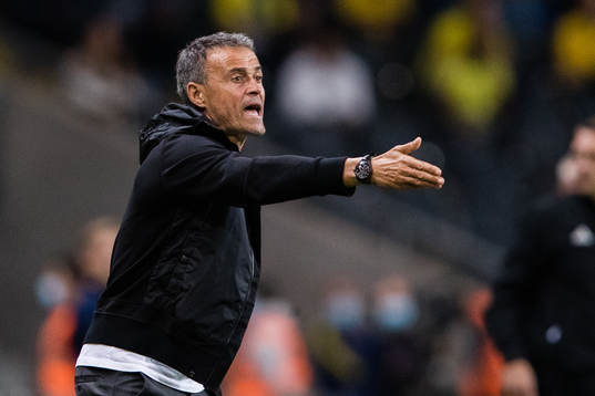 Head coach Luis Enrique of Spain