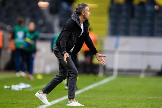 Head coach Luis Enrique of Spain