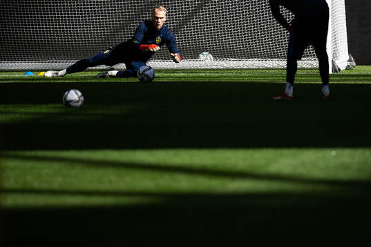goalkeeper Pontus Dahlberg of the Swedish national team