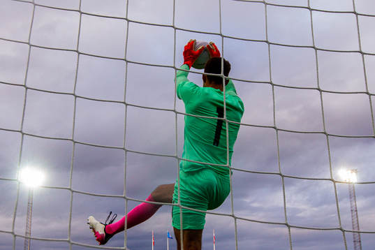 Goalkeeper Niklas Hedl of Austria