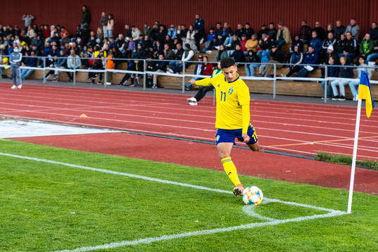 Sveriges Roony Bardagji