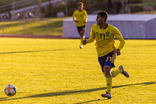 Sveriges Danilo Glusica