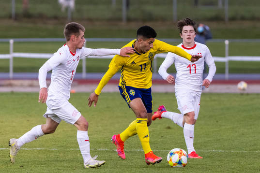 Sveriges Roony Bardagji mot Schweizs Bleon Xhemaili och