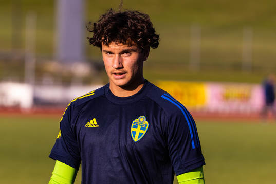 Sveriges Elis Bishesari
