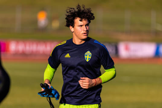 Sveriges Elis Bishesari