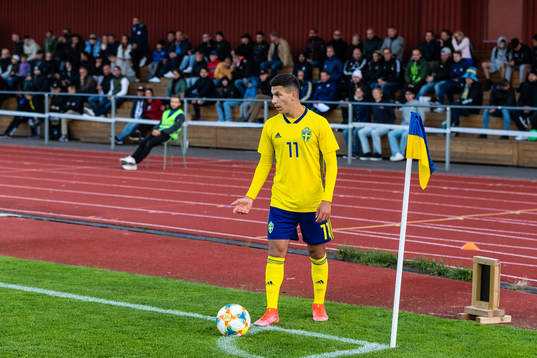 Sveriges Roony Bardagji