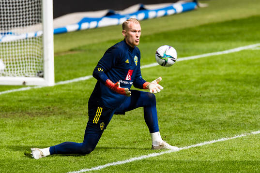 Goalkeeper Pontus Dahlberg of Sweden