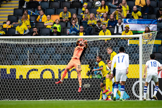 goalkeeper Kristoffer Nordfeldt of Sweden