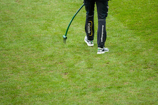 Staff at Friends Arena