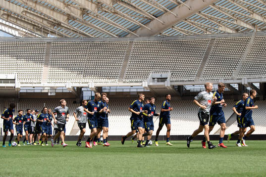 Players of the Swedish national football team